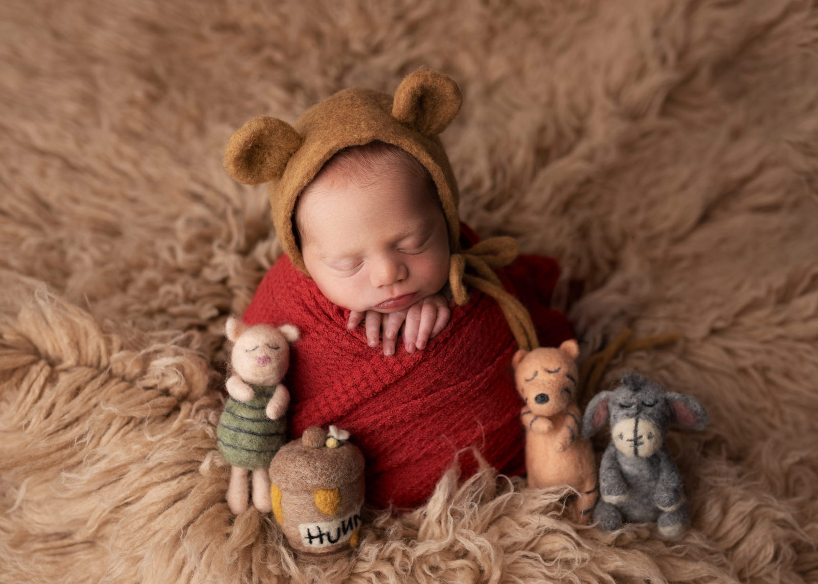 winnie the pooh baby photoshoot